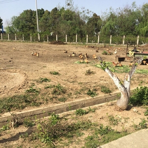 基地實(shí)景